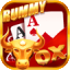 rummy circle online app